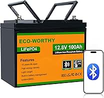 ECO-WORTHY 12 volt 100Ah rechargeable battery